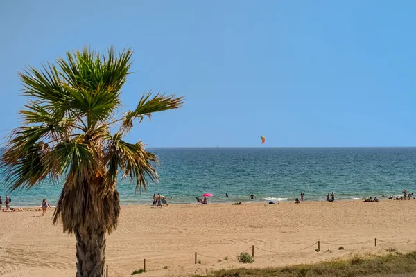 Blick auf den Strand mit Menschen im Hintergrund und einer Palme im Vordergrund — Stockfoto