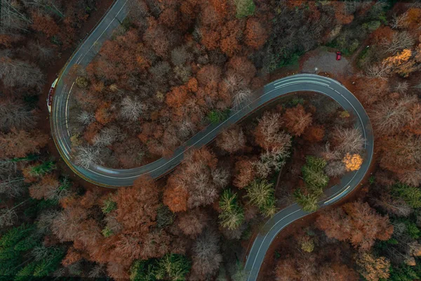 Vista panorâmica do drone em uma curva de s na temporada de outono com trilhas leves de carros de condução na estrada de dobra. — Fotografia de Stock