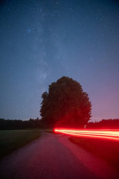 Milkyway sobre un árbol con senderos de luz roja de una bicicleta en una noche estrellada. — Foto de Stock