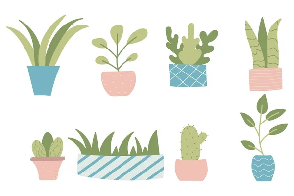 Conjunto de plantas de interior dibujadas a mano en macetas. Conjunto de plantas domésticas. El conjunto es adecuado para palos, impresiones, carteles. — Vector de stock