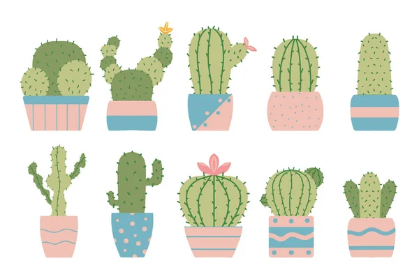 Conjunto de cactos dibujados a mano en macetas. Conjunto de plantas domésticas. Cactus florecientes. El conjunto es adecuado para pegatinas, impresiones, postales. — Vector de stock