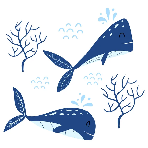 Childrens illustration of two blue whales. Hand drawn poster with cute whales and seaweed. — Stock Vector