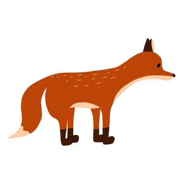 Ilustración Fox aislada sobre fondo blanco. Bonita mano dibujada zorro rojo. Animales forestales. — Vector de stock