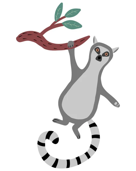 Childrens illustration of lemur hanging on branch. Hand-drawn cute lemur in cartoon style. — Stock Vector