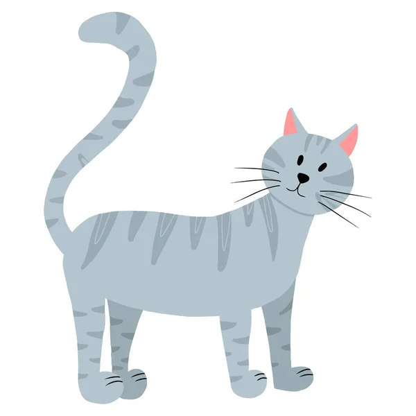 Vector illustration of a gray tabby cat. Cute cat isolated on a white background. Pets. — Wektor stockowy