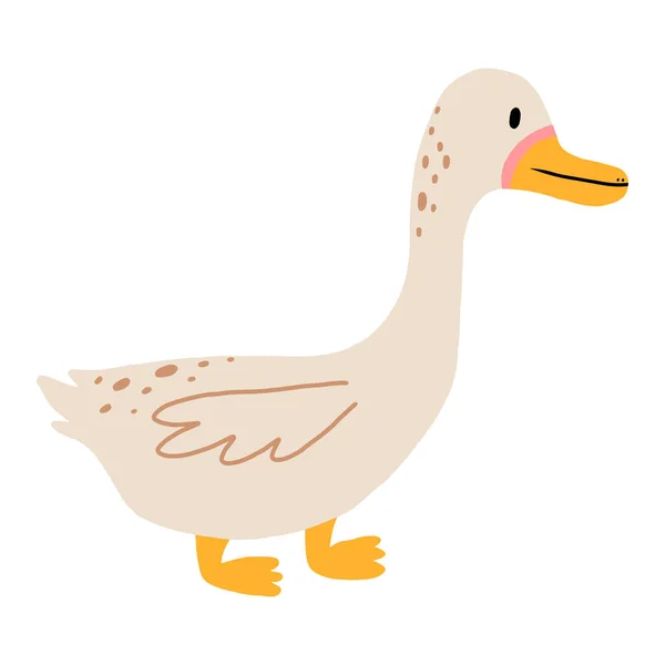 Ilustración vectorial de un lindo pato. Pato doméstico aislado sobre fondo blanco. Estilo de niños. — Vector de stock