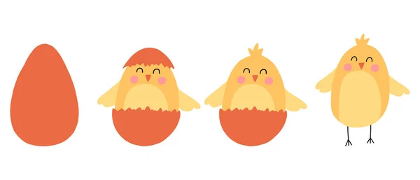 Conjunto vectorial de pollos lindos. Una chica nacida de un huevo. Lindos polluelos de Pascua. — Archivo Imágenes Vectoriales