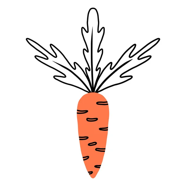 橙子胡萝卜被隔离了以涂鸦风格表示的矢量插图. — 图库矢量图片