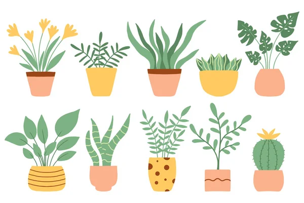 Un conjunto de plantas en maceta de moda para el hogar. Varias plantas de interior aisladas sobre fondo blanco. Ilustración vectorial en estilo plano. — Vector de stock