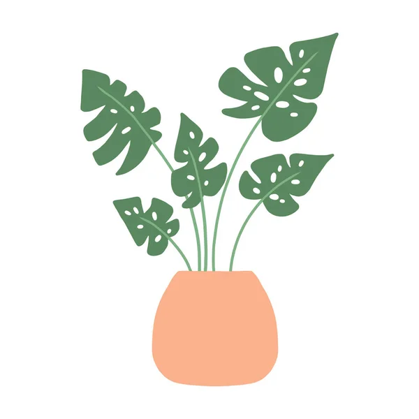 Monstera在一个罐子里家庭植物。室内装饰。在白色背景上孤立的向量图. — 图库矢量图片