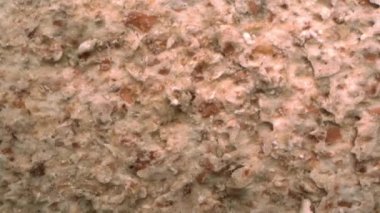 Tuzlu çavdar ekmeği Makro mercekle Yüksek Hızda İki Çekimde Kırıldı