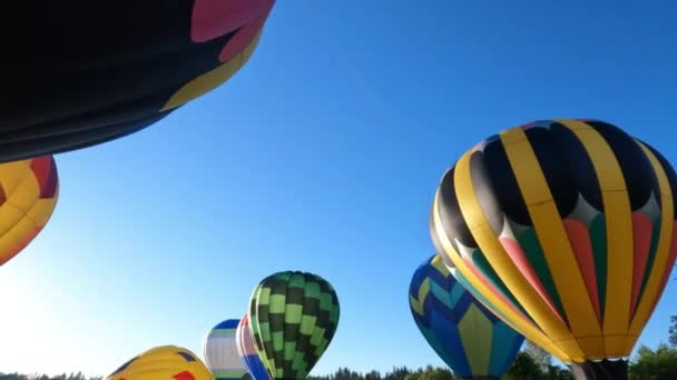 Grupa Kolorowych Balonów Gorące Powietrze Jest Gotowa Startu Powietrze Błękitnym — Wideo stockowe