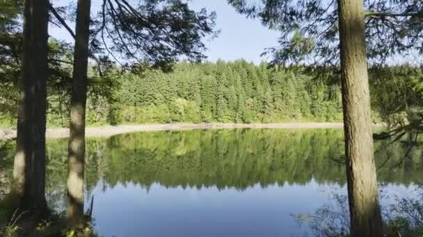 Hermoso Lago Con Reflejo Árboles Cielo Azul Disparo Revelador Volando — Vídeos de Stock