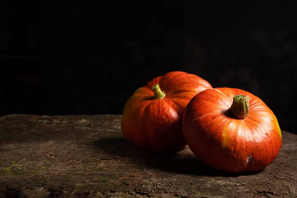 Two Fresh Organic Ripe Potimarron Pumpkins Dark Wooden Background Autumn — Stock Photo, Image