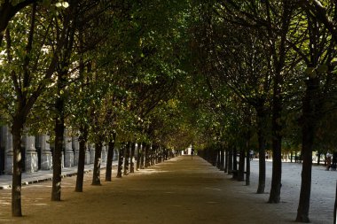 Sonbaharda şehir parkında.