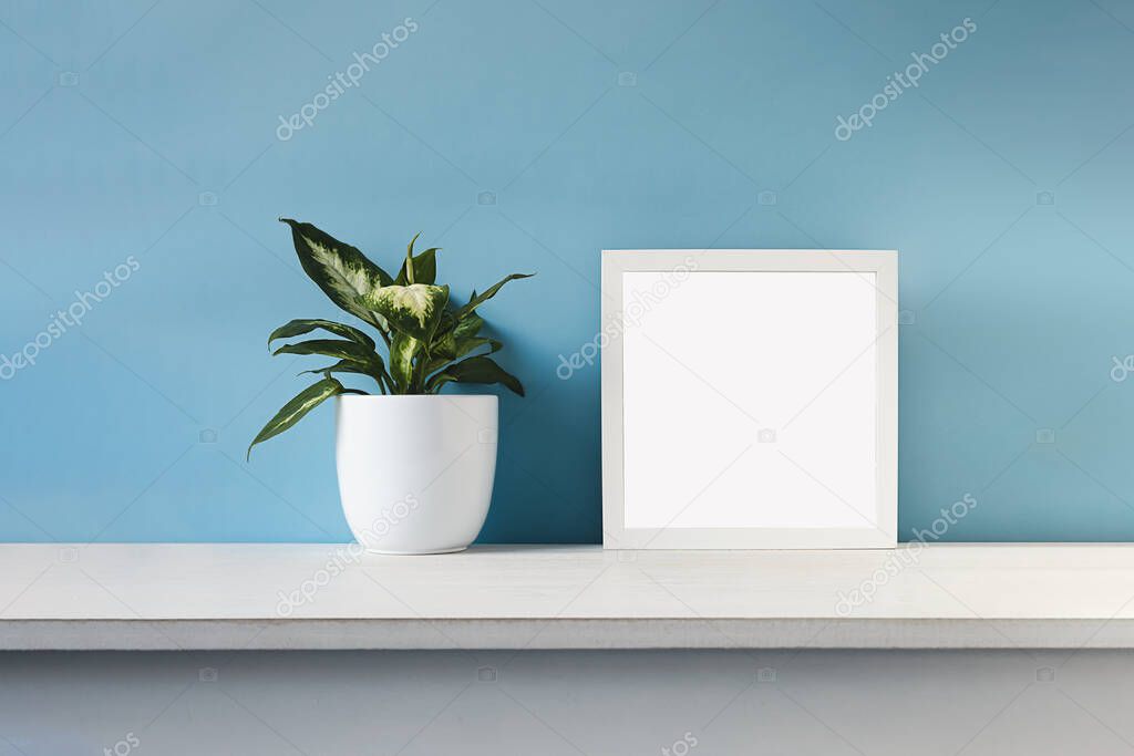 White mock up photo frame and Dieffenbachia, or Dumb cane young plant in a white flower pot on a light blue background