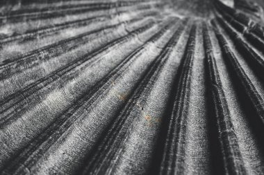 A gray seashell macro shot as a natural background, shallow DOF