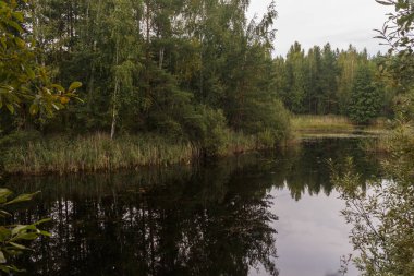 Orta Rusya 'daki göl kenarında bulutlu bir yaz günü. Siyah su