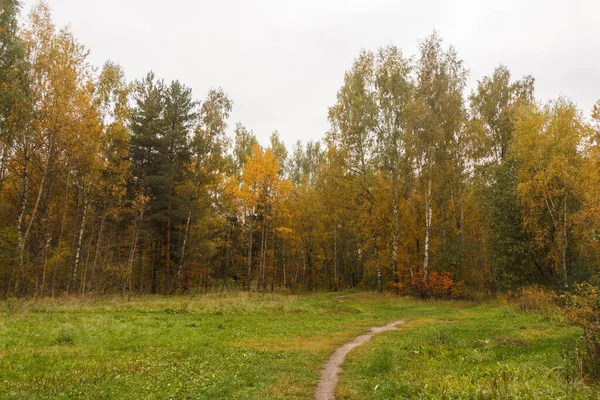 Πεδίο Και Φθινόπωρο Δάσος Στην Περιοχή Της Μόσχας Ρωσία Οκτώβριος — Φωτογραφία Αρχείου