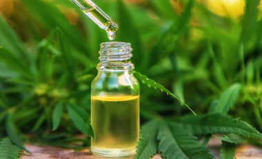 Küçük bir şişede marihuana yağı. Seçici odaklanma. Doğa.