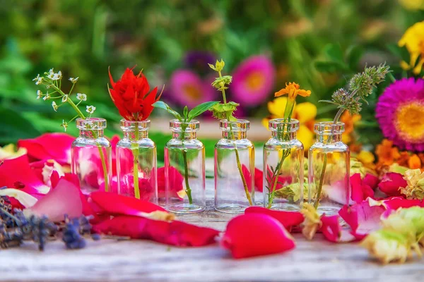 Ört Och Blomtinkturer Flaska Selektivt Fokus Natur — Stockfoto