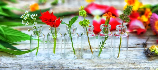 Ört Och Blomtinkturer Flaska Selektivt Fokus Natur — Stockfoto
