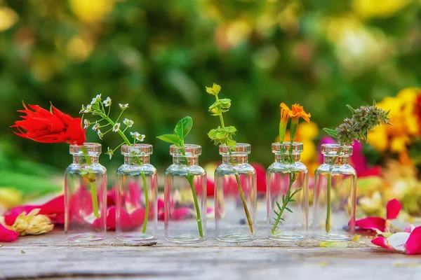 Flaschen Abgefüllte Kräuter Und Blumentinkturen Selektiver Fokus Natur — Stockfoto