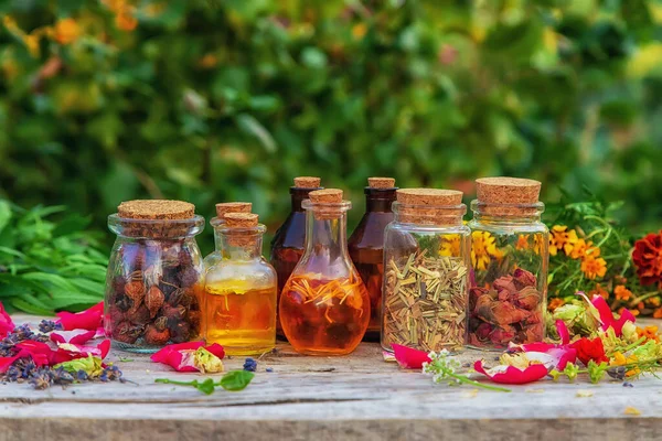 瓶状のハーブと花の色合い 選択的フォーカス — ストック写真