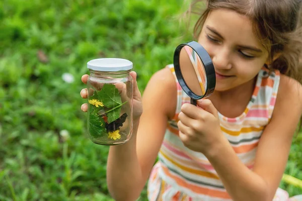 Bambino Cattura Farfalle Natura Concentrazione Selettiva Natura — Foto Stock