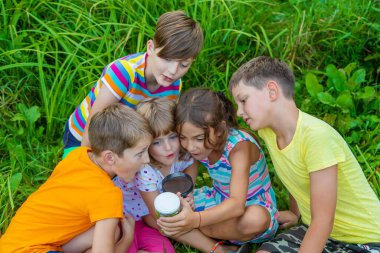 Çocuklar doğadaki büyütece bakarlar. Seçici odaklanma. Doğa.