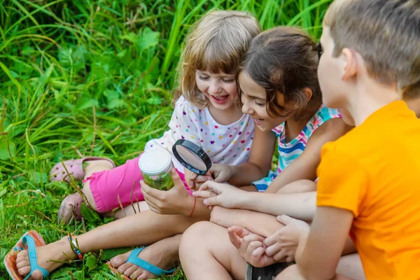 子供たちは自然の虫眼鏡を見ています 選択的フォーカス — ストック写真