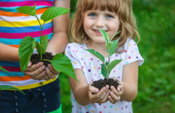 아이들은 식물을 합니다 선택적 집중입니다 아이들 — 스톡 사진