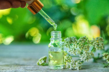 Şişedeki kiremit tentürü. Seçici odaklanma. Doğa.