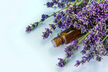 Şişedeki lavanta yağı. Seçici odaklanma. Doğa.
