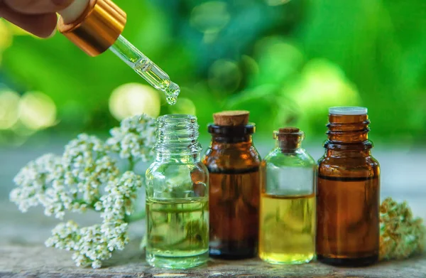 Tinctuur Van Yarrow Een Fles Selectieve Focus Natuur — Stockfoto