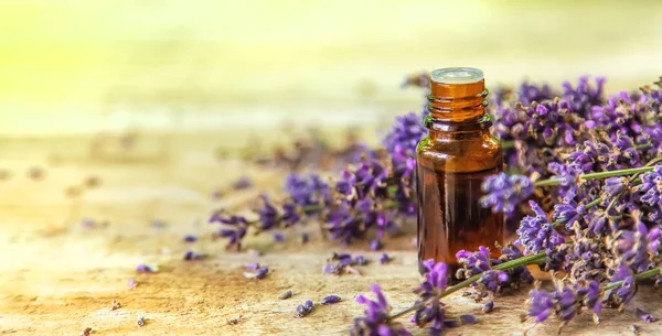 Óleo Essencial Lavanda Uma Garrafa Foco Seletivo Natureza — Fotografia de Stock