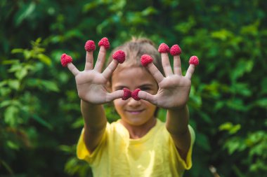Bir çocuğun ellerinde ahududu hasat et. Seçici odaklanma. Doğa.