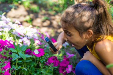 Çocuk bitkileri büyüteçle inceliyor. Seçici odaklanma. Çocuk.