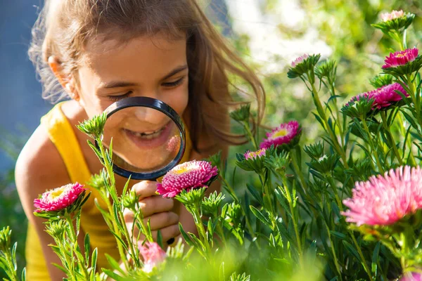 Gyermek Nagyítóval Vizsgálja Meg Növényeket Szelektív Fókusz Kölyök — Stock Fotó