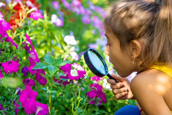 Gyermek Nagyítóval Vizsgálja Meg Növényeket Szelektív Fókusz Kölyök — Stock Fotó