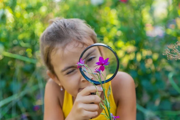 Bambino Esamina Piante Con Una Lente Ingrandimento Concentrazione Selettiva Ragazzo — Foto Stock