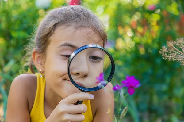 Bambino Esamina Piante Con Una Lente Ingrandimento Concentrazione Selettiva Ragazzo — Foto Stock