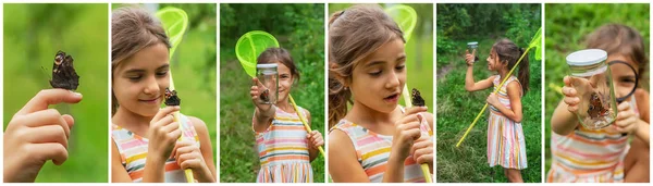 The child catches butterflies with a butterfly net collage. Selective focus. Nature.