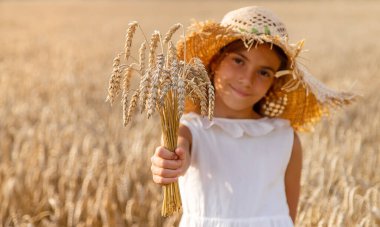 Buğday tarlasında bir çocuk. Seçici odaklanma. Doğa.