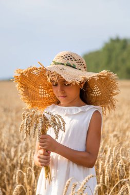 Buğday tarlasında bir çocuk. Seçici odaklanma. Doğa.