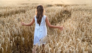 Buğday tarlasında bir çocuk. Seçici odaklanma. Doğa.