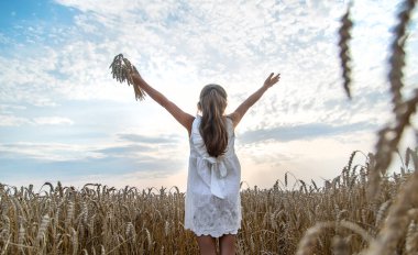 Buğday tarlasında bir çocuk. Seçici odaklanma. Doğa.