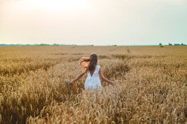 Buğday tarlasında bir çocuk. Seçici odaklanma. Doğa.