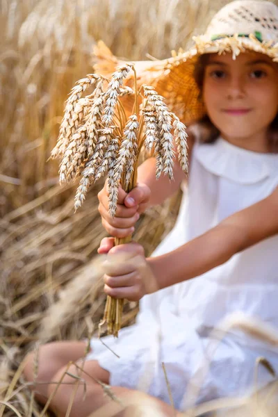 Buğday Tarlasında Bir Çocuk Seçici Odaklanma Doğa — Stok fotoğraf