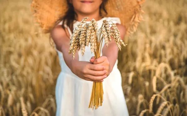 Buğday Tarlasında Bir Çocuk Seçici Odaklanma Doğa — Stok fotoğraf
